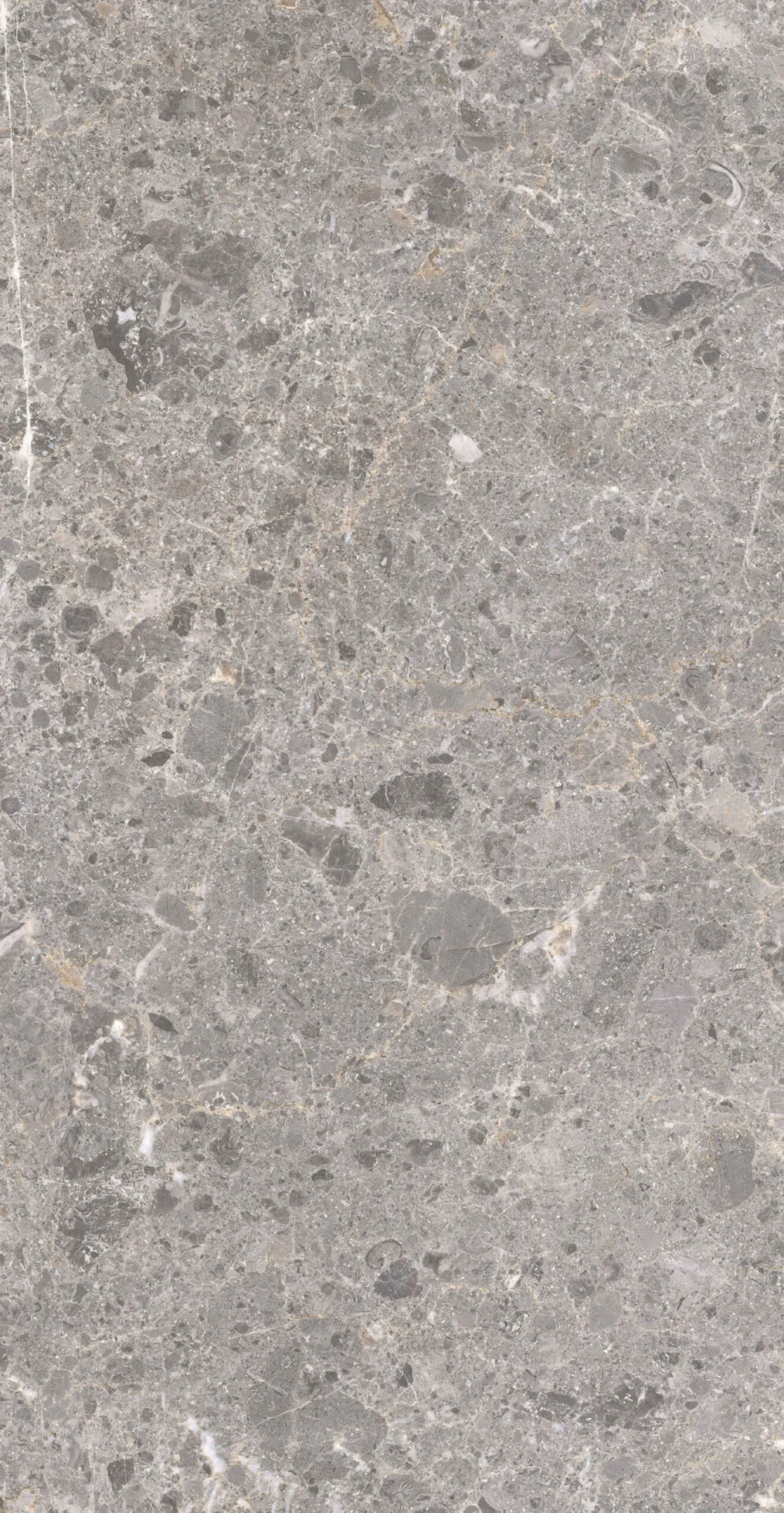 ARTIC GRIS