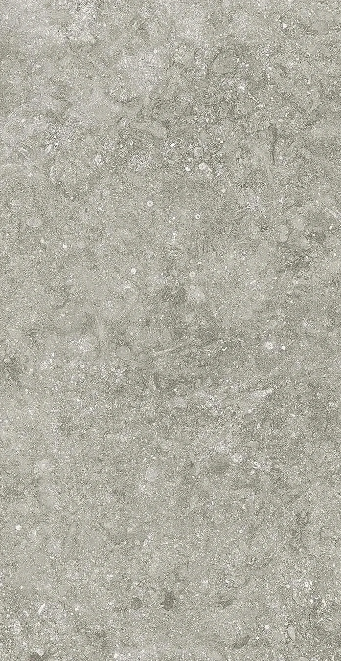 BLUESTONE GRIS