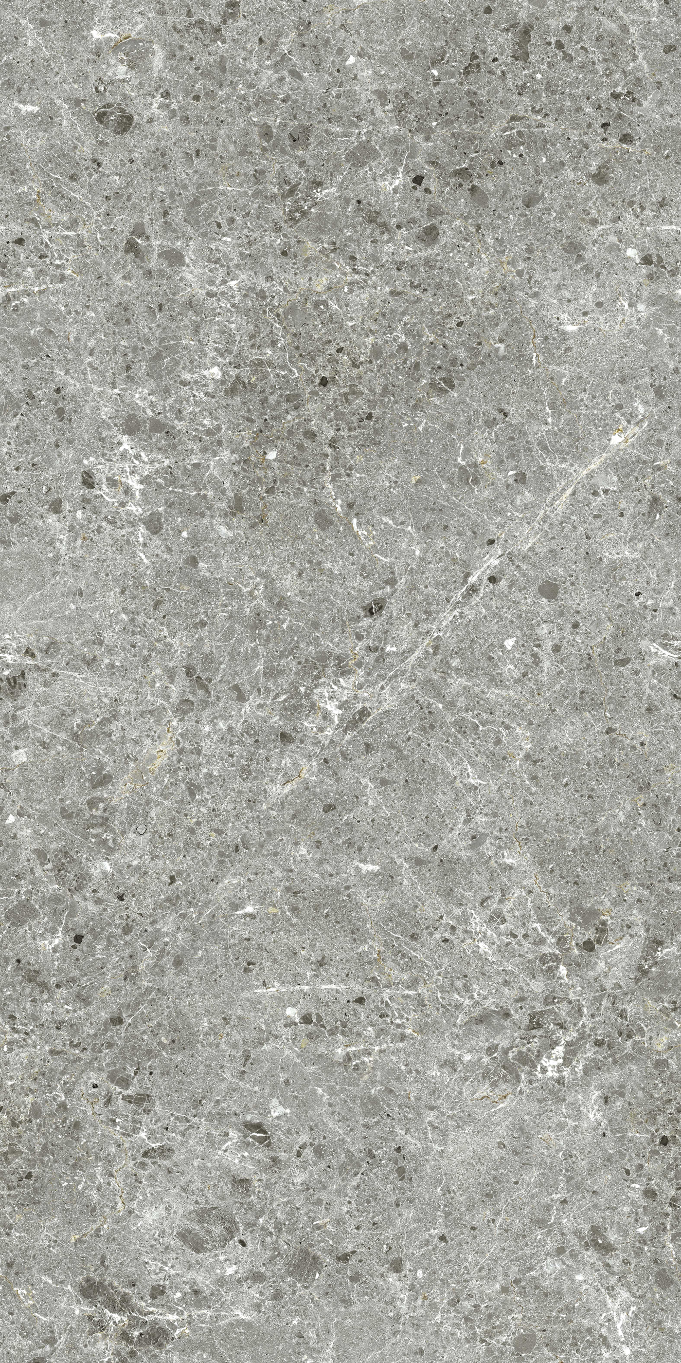 ARTIC GRIS